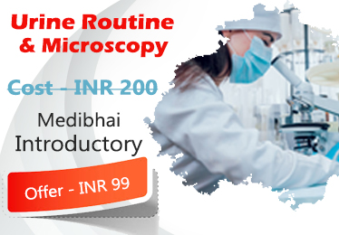 Urine Routine